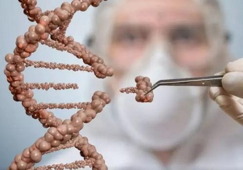 NMN é absorvido pelas vilosidades epiteliais do intestino delgado