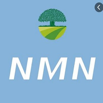 Detalhes dos dez principais padrões internacionais para o W+NMN Quality Management